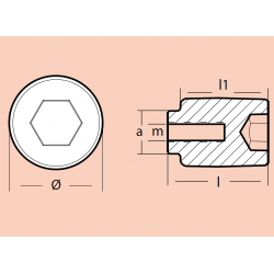 ANODE FOR CRANKCASE CYLINDER